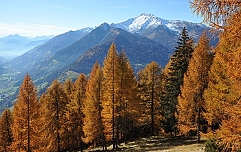 Herbst in Südtirol