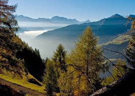 Herbst im Passeiertal