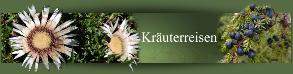 Programm Kräuterreisen